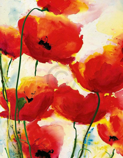 Heidi Reil  Roter Mohn Reproducción de arte 70x90cm | Yourdecoration.es