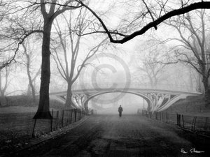 Henri Silberman  Gothic Bridge, Central Park NYC Reproducción de arte 80x60cm | Yourdecoration.es