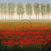 Park  Morning Mist Reproducción de arte 68x68cm | Yourdecoration.es