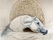 Renato Casaro  Arabian Pride Reproducción de arte 80x60cm | Yourdecoration.es