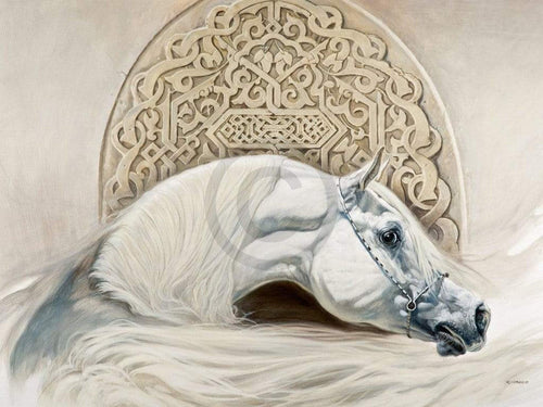 Renato Casaro  Arabian Pride Reproducción de arte 80x60cm | Yourdecoration.es