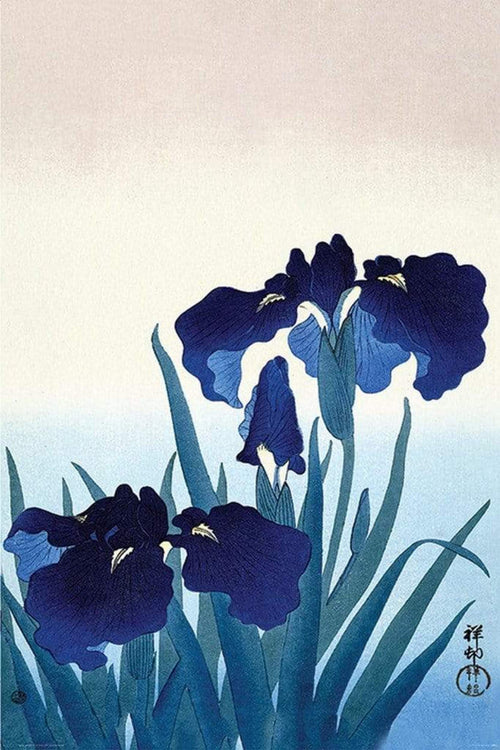 Pyramid Ohara Koson Iris Flowers Póster 61x91,5cm | Yourdecoration.es