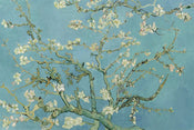 Pyramid Van Gogh Almond Blossom Póster 91,5x61cm | Yourdecoration.es