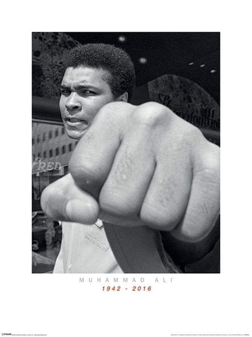 Pyramid Muhammad Ali Commemorative Punch Reproducción de arte 60x80cm | Yourdecoration.es