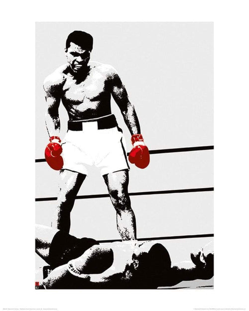 Pyramid Muhammad Ali Gloves Reproducción de arte 40x50cm | Yourdecoration.es