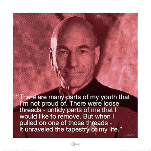 Pyramid Star Trek JeanLuc Picard iQuote Reproducción de arte 40x40cm | Yourdecoration.es