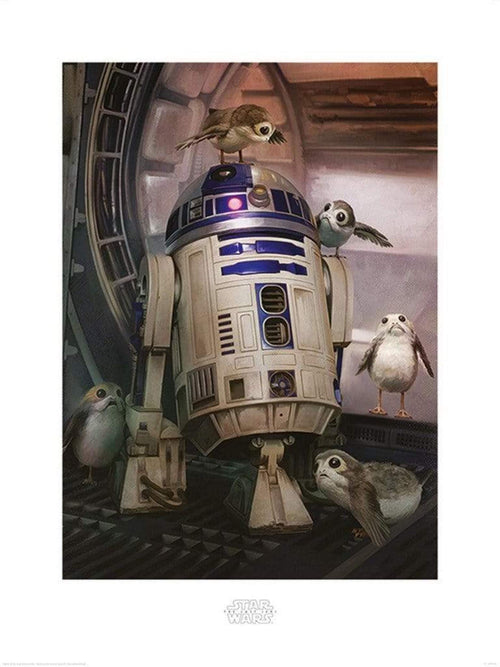 Pyramid Star Wars The Last Jedi R2D2 and Porgs Reproducción de arte 60x80cm | Yourdecoration.es