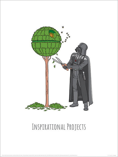 pyramid ppr54083 star wars vaders boredom busting ideas inspirational projects Reproducción de arte 30x40cm | Yourdecoration.es