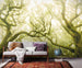 sh055 vd4 komar green fire Fotomural Tejido No Tejido 400x250cm 4 Tiras Ambiente | Yourdecoration.es