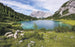 sh070 vd4 komar paradise lake Fotomural Tejido No Tejido 400x250cm 4 Tiras | Yourdecoration.es