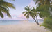 sh086 vd4 komar paradise morning Fotomural Tejido No Tejido 400x250cm 4 Tiras | Yourdecoration.es