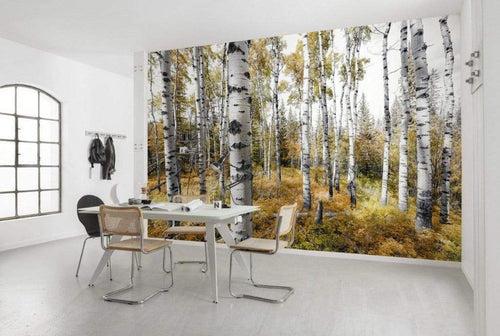 shx9 015 komar colorful aspenwoods Fotomural Tejido No Tejido 450x280cm 9 Tiras Ambiente e2f207c2 5206 4d9d b3b2 014b10acae3c | Yourdecoration.es