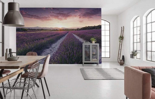 shx9 052 komar lavender dream Fotomural Tejido No Tejido 450x280cm 9 Tiras Ambiente 23ef27ea adaf 49ac b6c7 010c4cfc8f86 | Yourdecoration.es