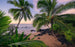 shx9 116 komar hawaiian dreams Fotomural Tejido No Tejido 450x280cm 9 Tiras 6e40a85f 59a0 4e63 b26d f793f7178695 | Yourdecoration.es