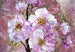 xxl4 064 komar blooming gems Fotomural Tejido No Tejido 368x 75955bab 14c7 48a0 8654 7bbee1ed626e | Yourdecoration.es