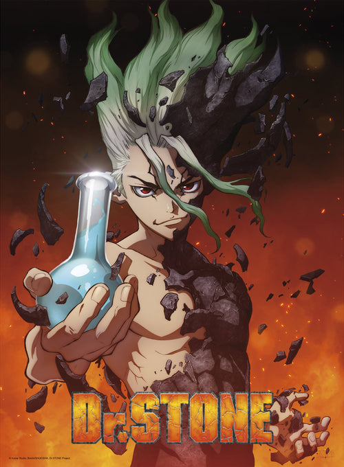 Dr Stone Senku Póster 38X52cm | Yourdecoration.es