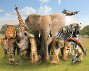 GBeye Wild World Póster 50x40cm | Yourdecoration.es